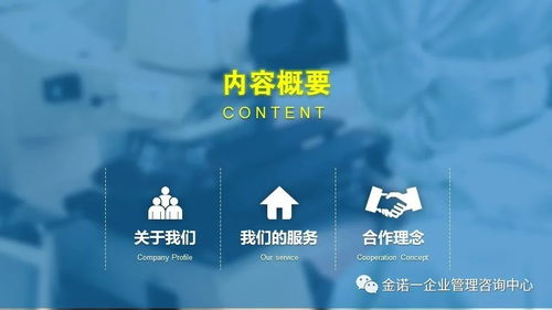企業(yè)人員管理項目咨詢與信息技術(shù)咨詢服務 金諾一企業(yè)管理咨詢中心介紹
